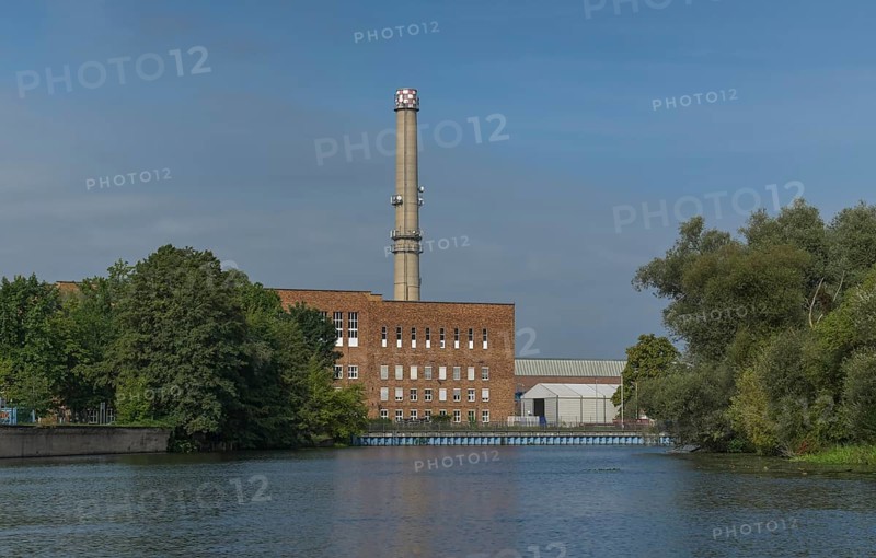 Biomass cogeneration plant