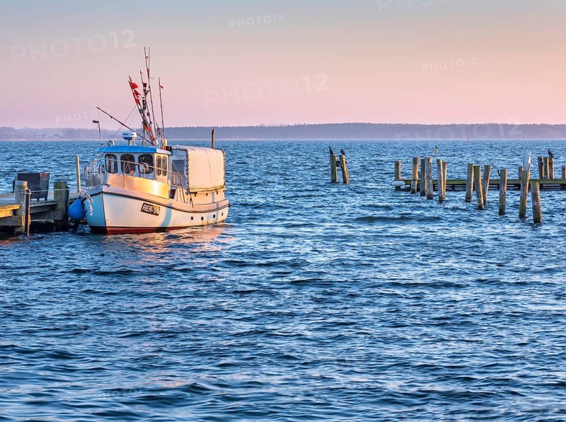 Fishing boat in the harbour at the Salzhaff in the evening light