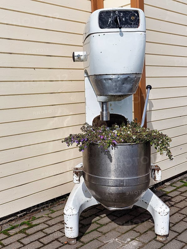 Large food processor as a flower pot