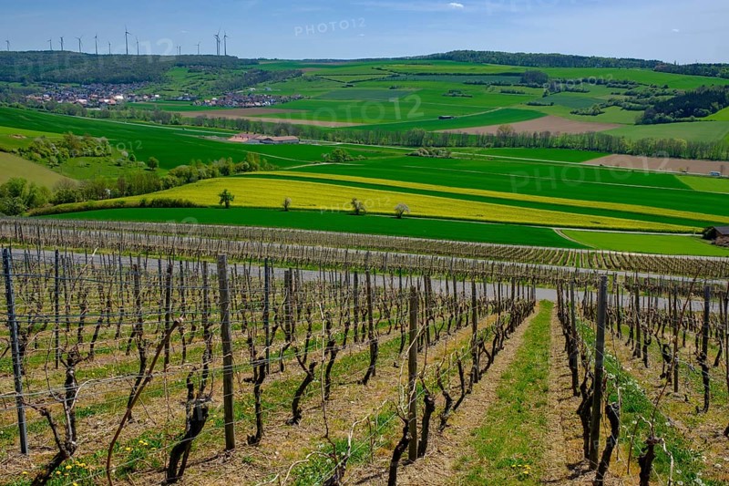 Vineyards