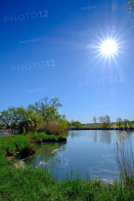 Large gate pond at Neuhaus moated castle