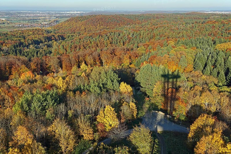 View of autumn forest from the Schönbuch Tower