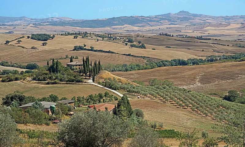 Podere Belvedere estate