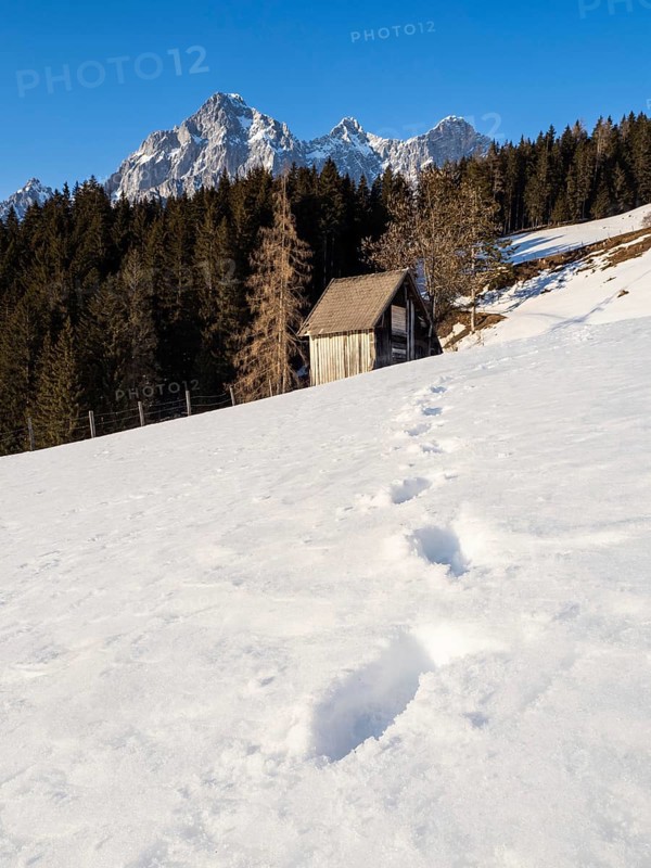 Blue sky over winter landscape