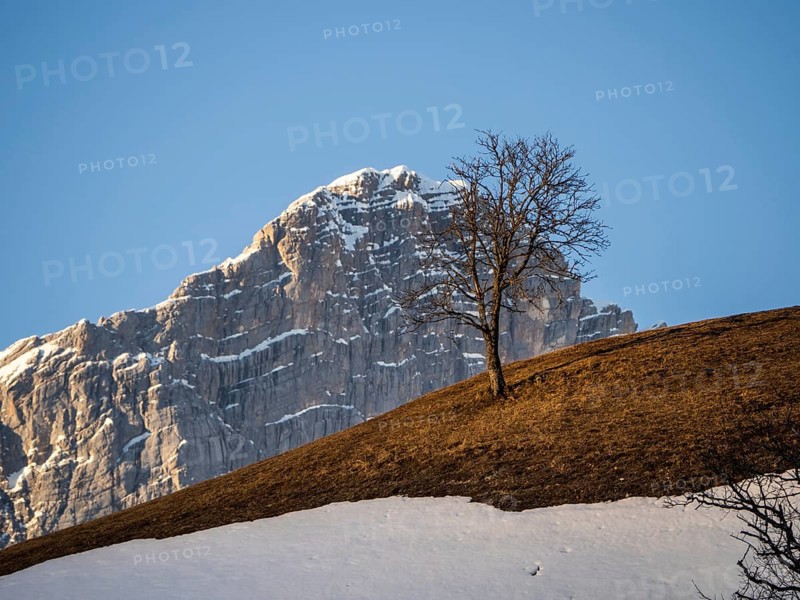 Blue sky over winter landscape