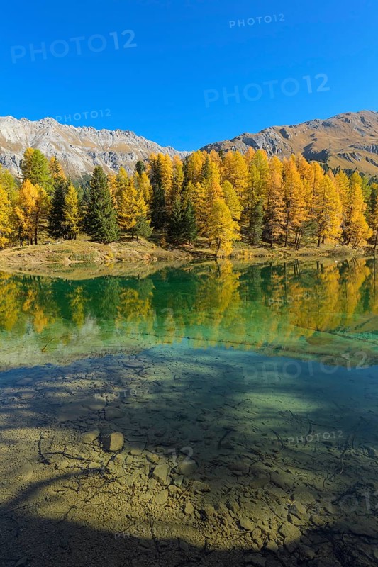 Mountain lake with larch trees in autumn