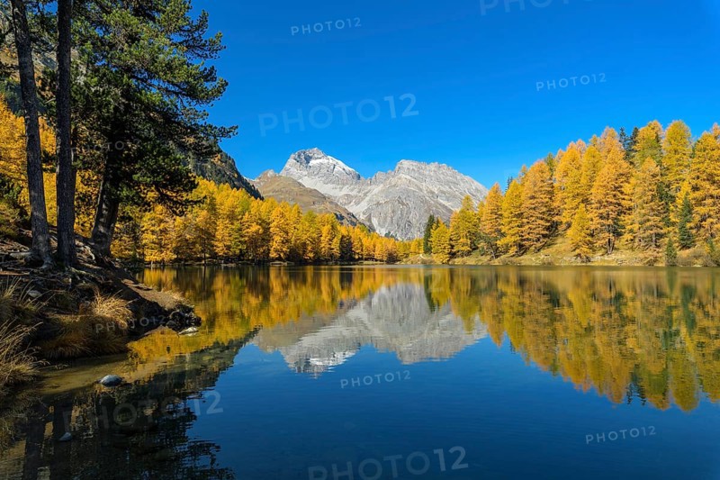 Mountain lake with larch trees in autumn