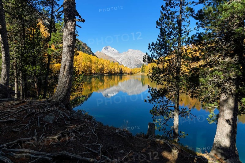 Mountain lake with larch trees in autumn