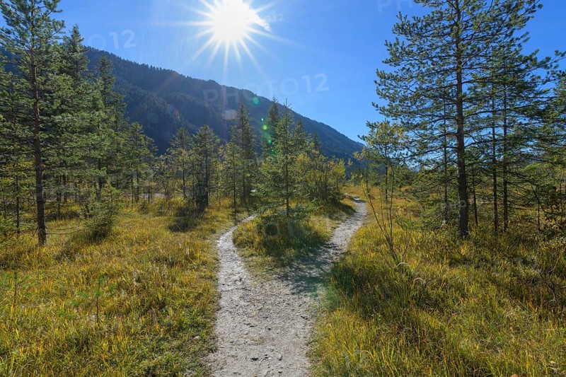 Forked hiking trail with sun