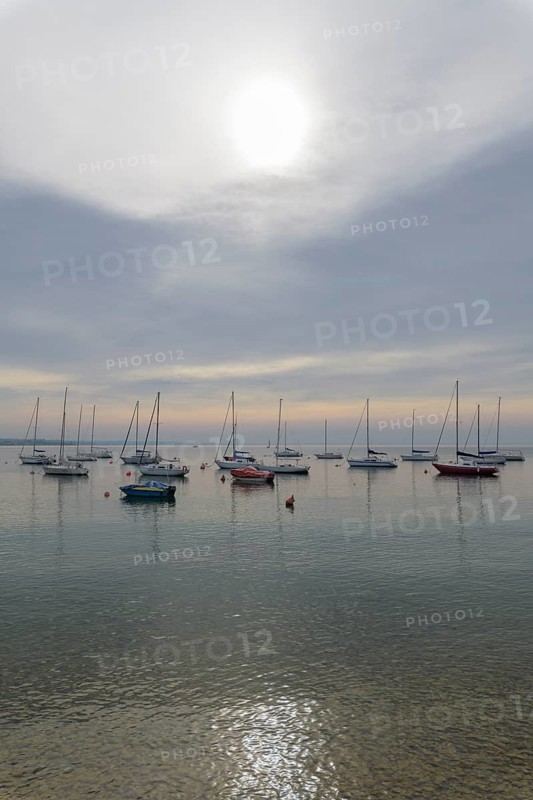Harbor with fishing boats