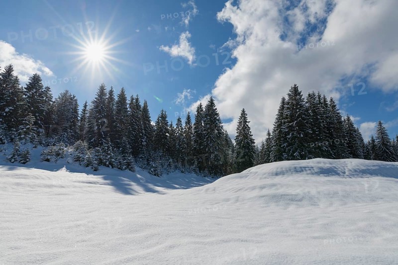 Winter landscape with sun