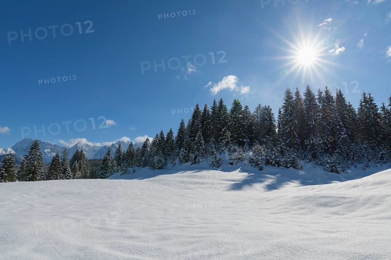 Winter landscape with sun