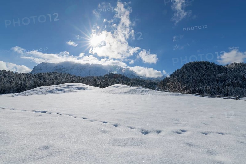 Winter landscape with sun