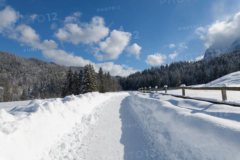 Path in winter