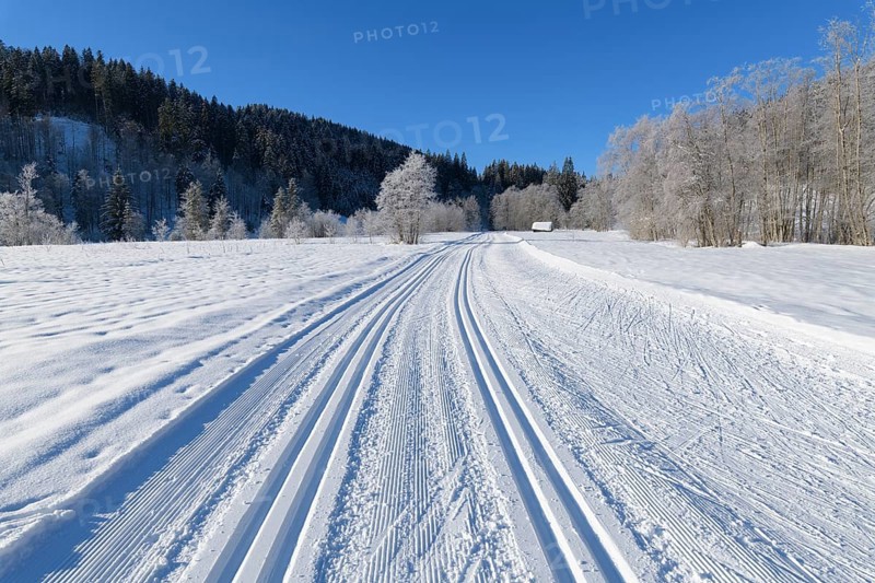 Cross country skiing track in winter landscape near lake Barmsee