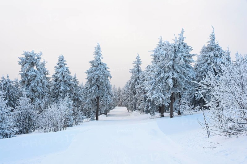Ski slope in the morning