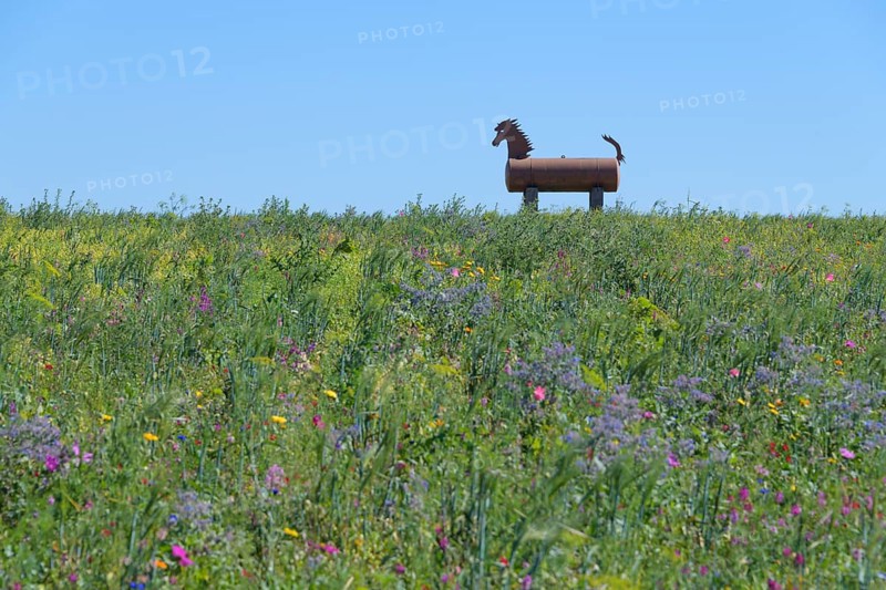 Trojan horse in landscape