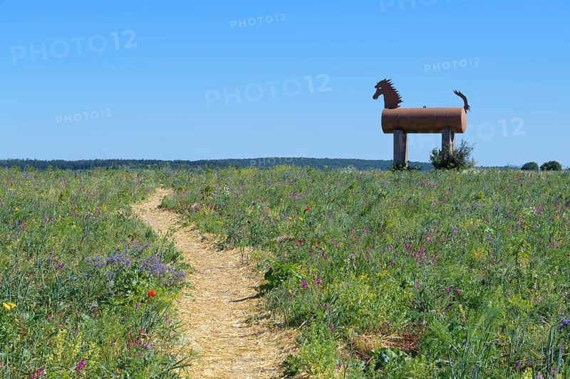 Path with Trojan horse in landscape