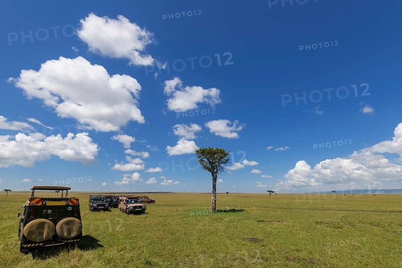 Typical Masai Mara savannah with safari vehicle