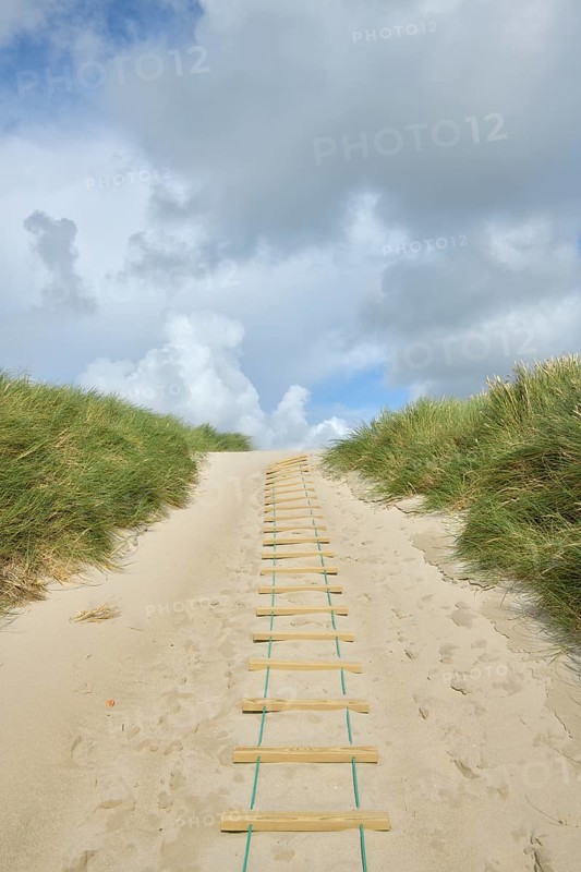 Dune landscape with sandy footpath to the sea in summer