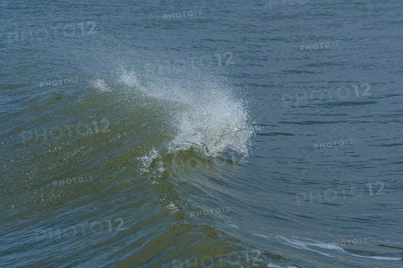 Breaking Wave