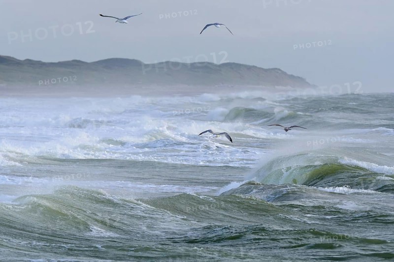 Breaking Wave