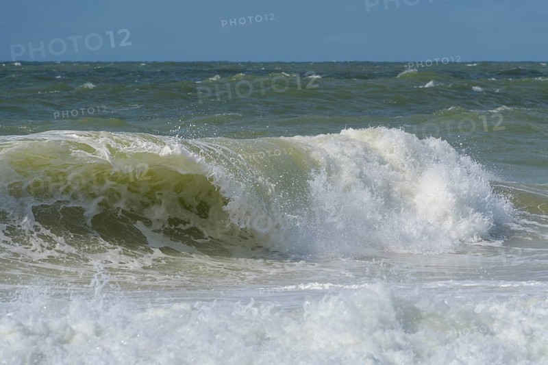 Breaking Wave