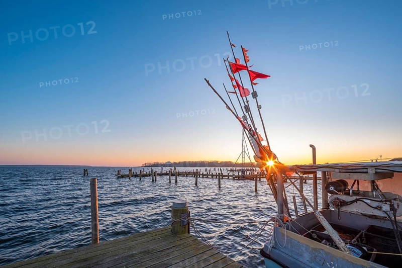 Fishing cutter in the harbour at the Salzhaff at sunset