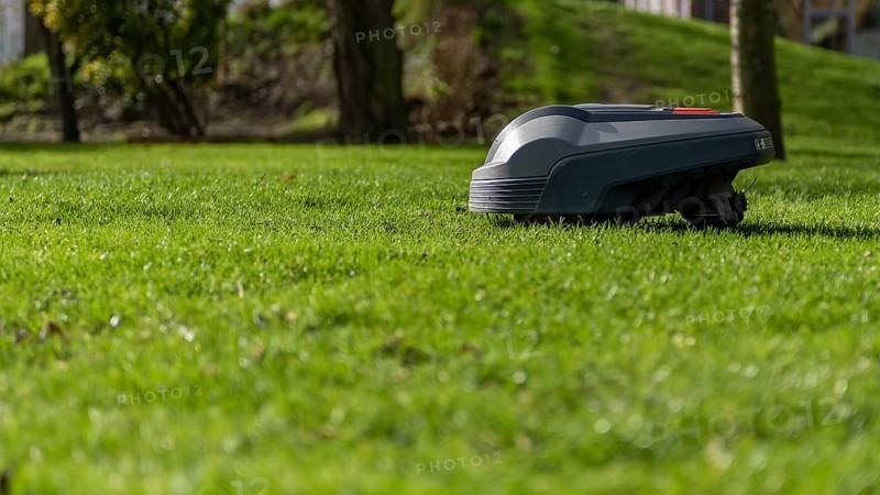 The robotic lawnmower mows the lawn