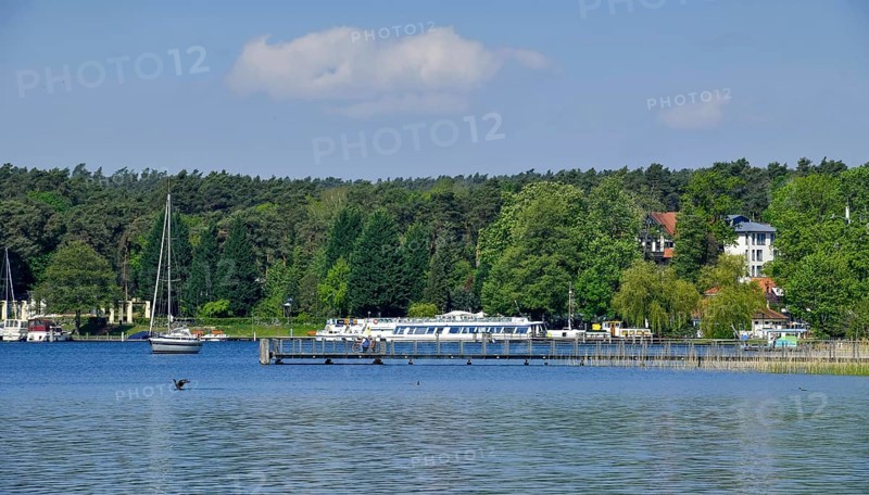 Jetty