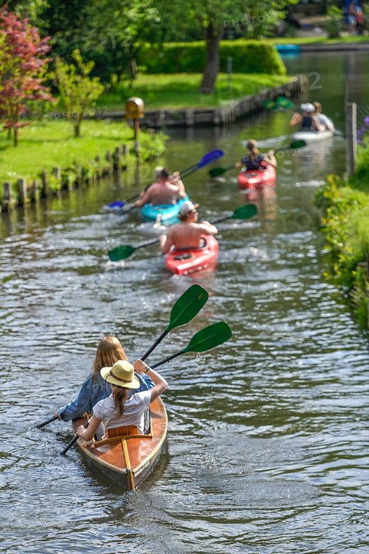 Paddle boats