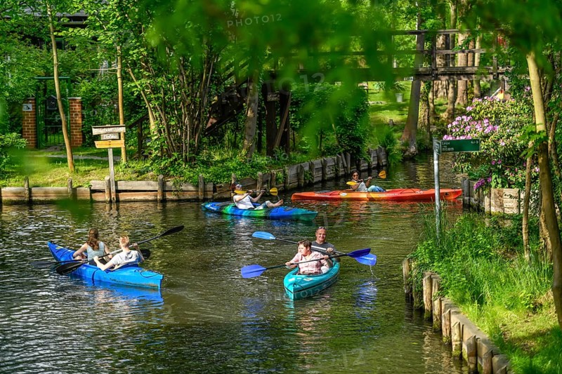 Paddle boats