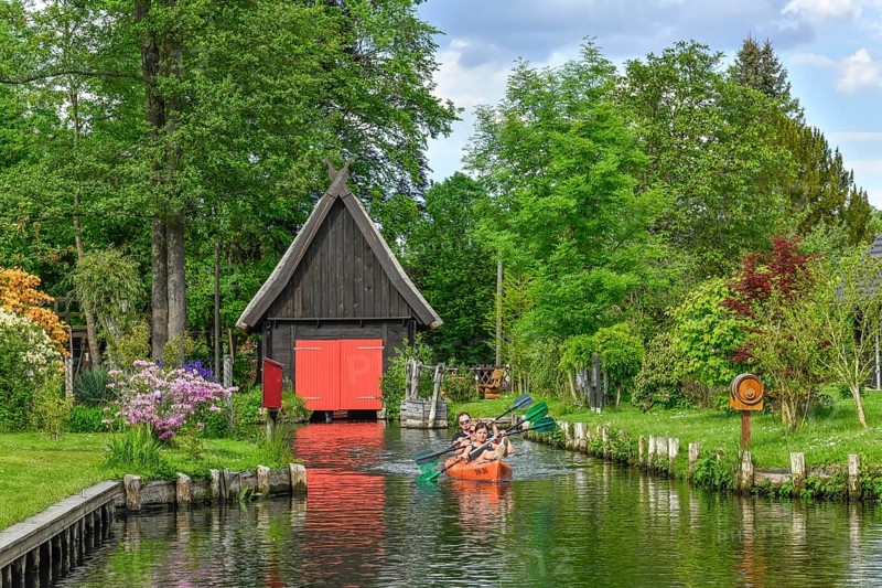 Paddle boat