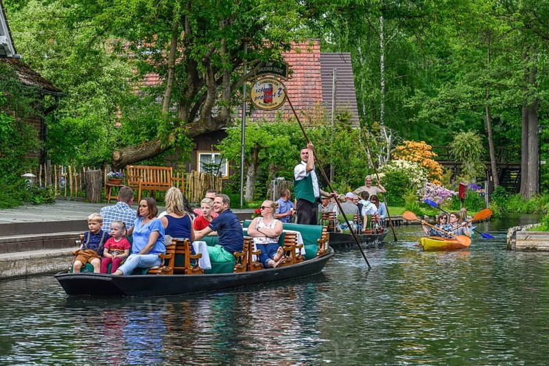 Paddle boat