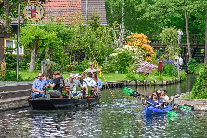 Paddle boat