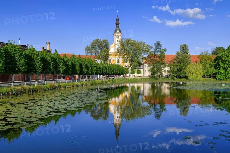 Monastery pond