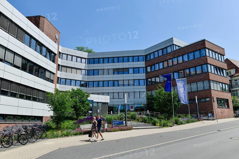 Head Office