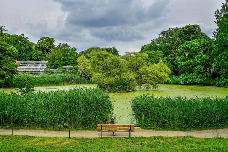 Pond