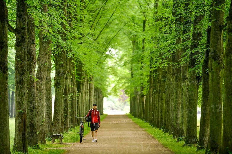 Lindenallee
