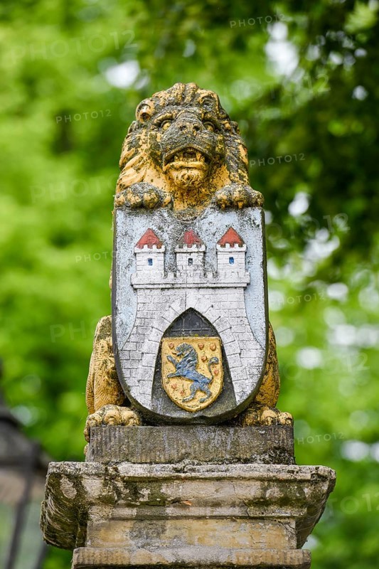 Lion with city coat of arms