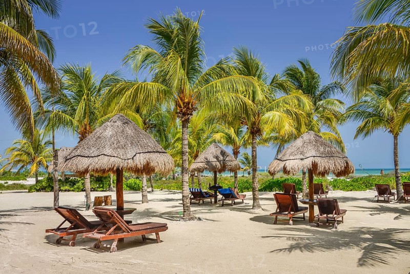 Palm Beach