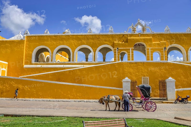 Horse-drawn carriage