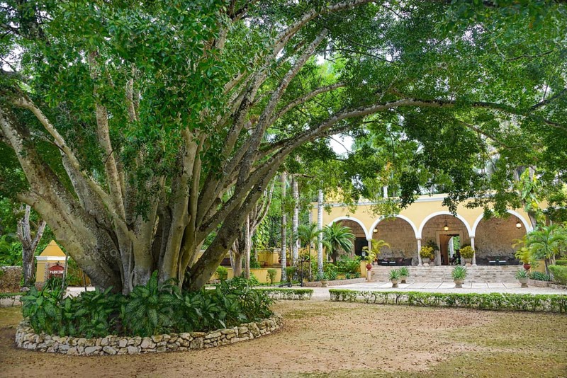 Main building