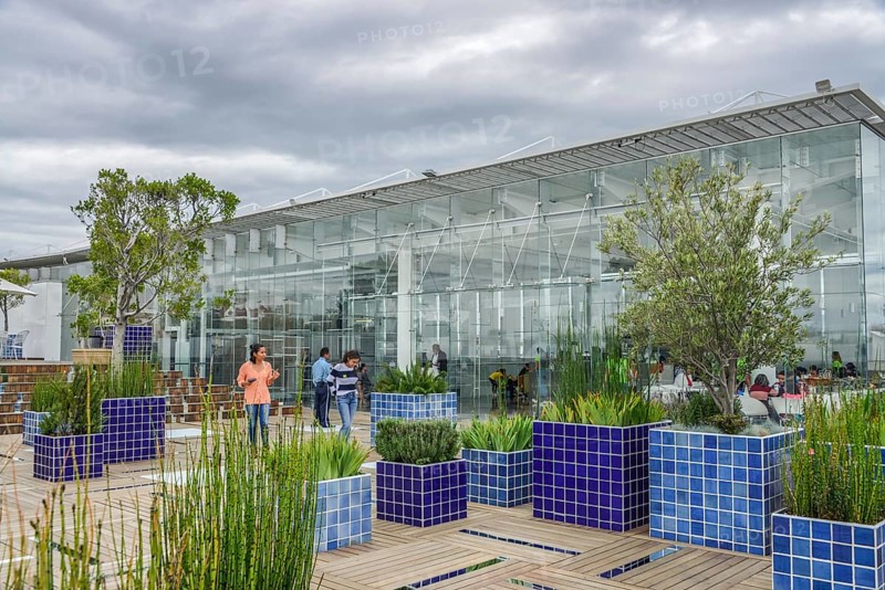 Roof terrace