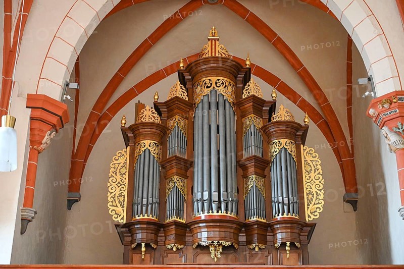 Heeren-Euler organ