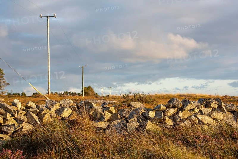 Evening sunshine on stone wall and telephone pole in County Galway. Galway