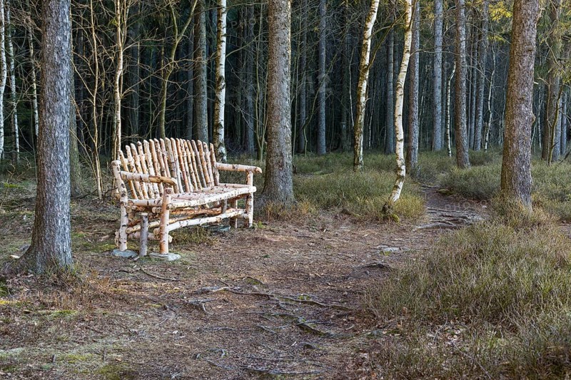 Creative bench made of birch logs in the Hormersdorfer Moor in the Geyers Forest