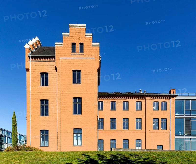 Directors villa