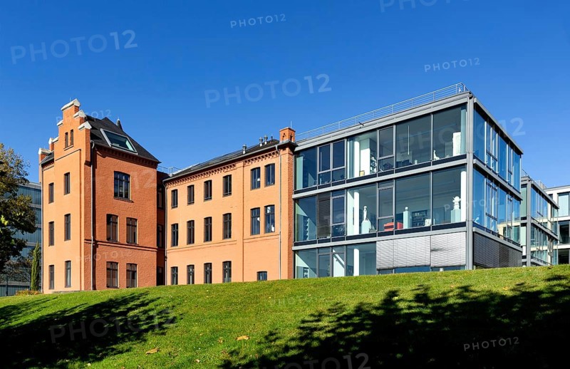 Directors villa