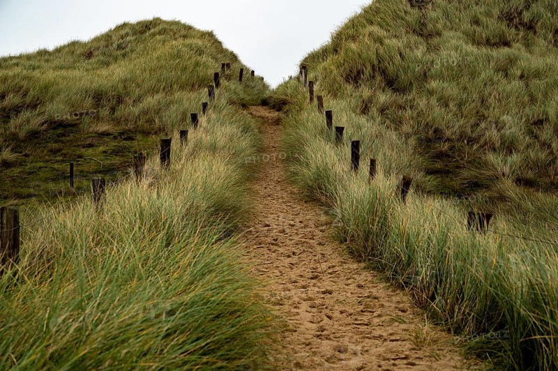Sand path with dune grass and fence